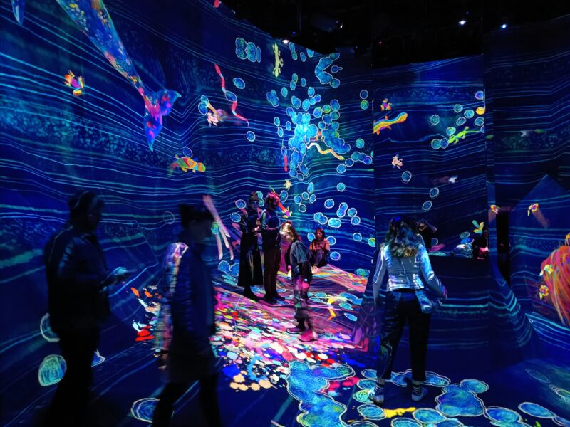 TeamsLab Tokio immersive Museen Anette Konrad