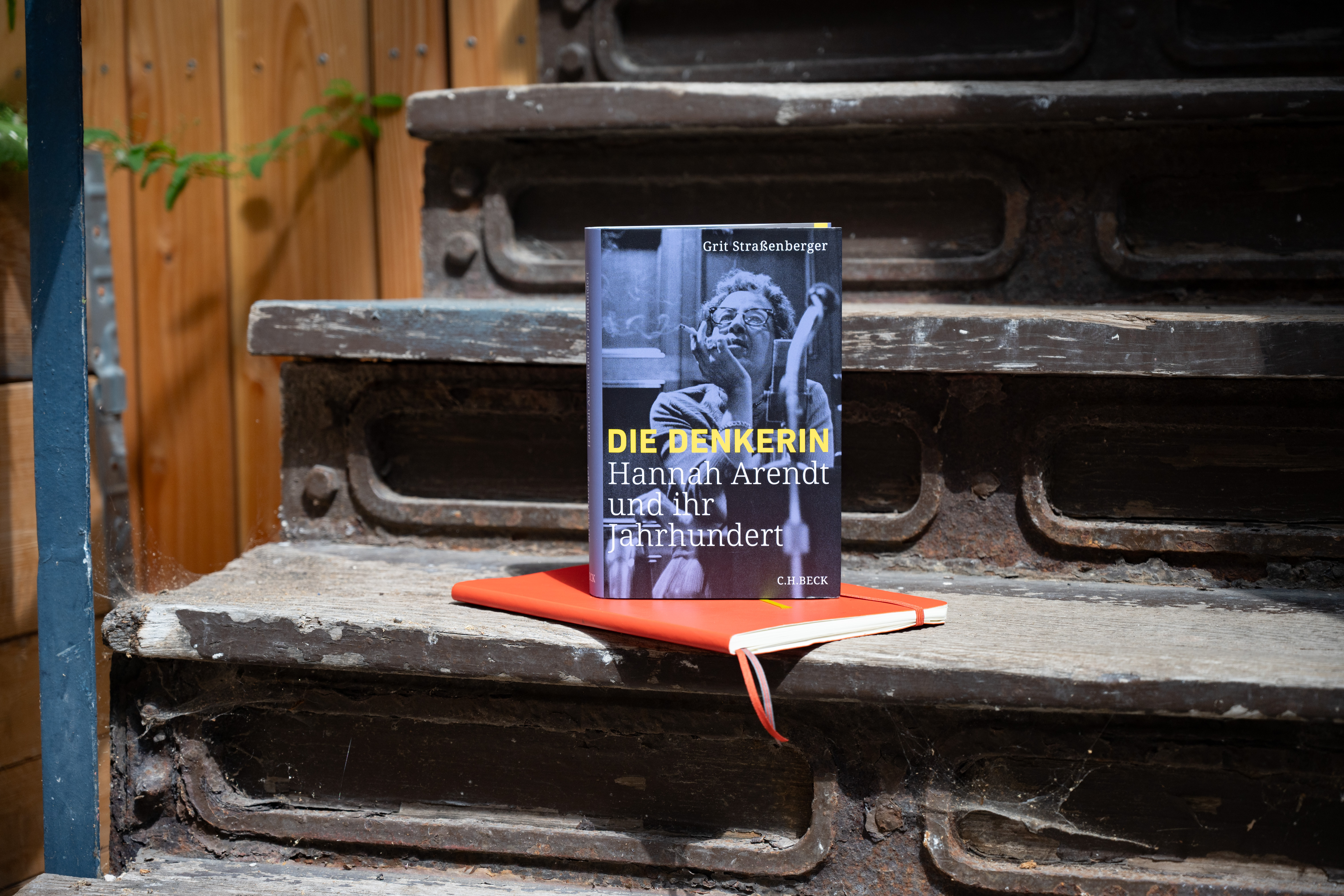 Was dachte Hannah Arendt?