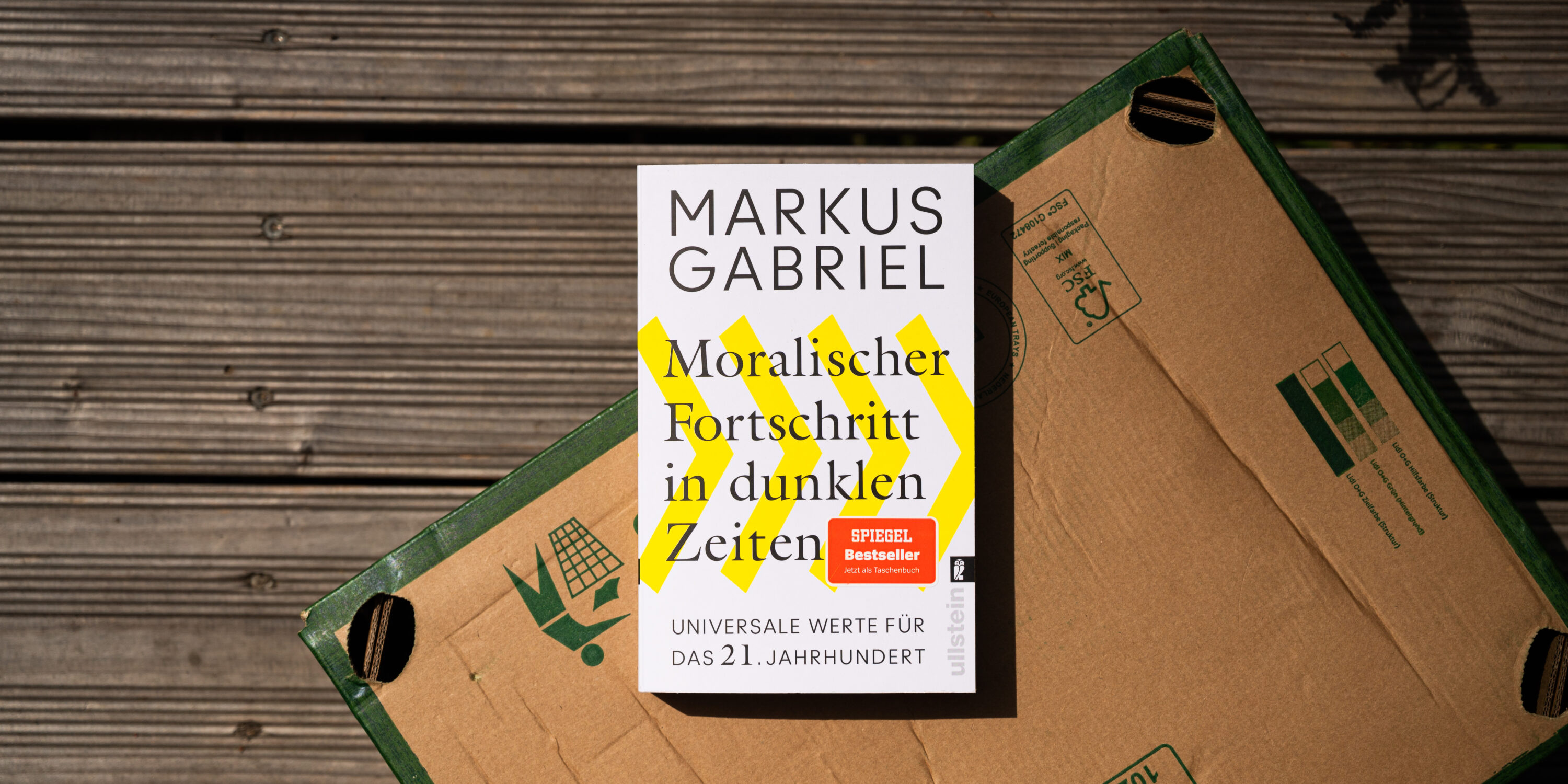 Markus Gabriel Moralischer Fortschritt
